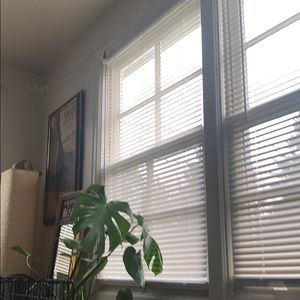 Meet your Posher, Vincent